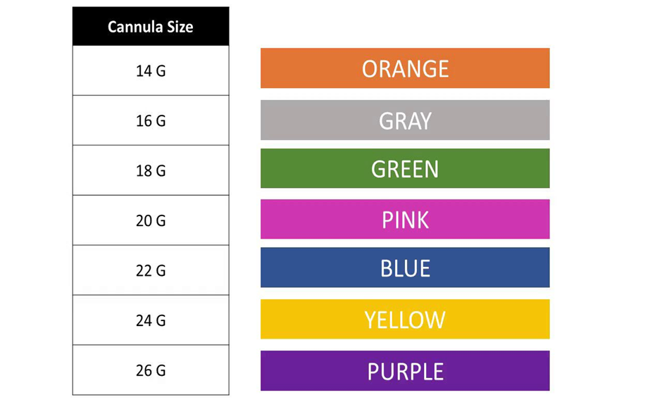 The Procedural Work For The Cannula : - Types of Cannulas | EHC ...