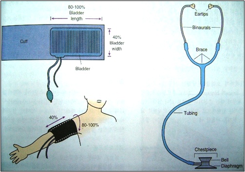 The Procedural Work for Vital signs | EHC | Egyptian Health Council