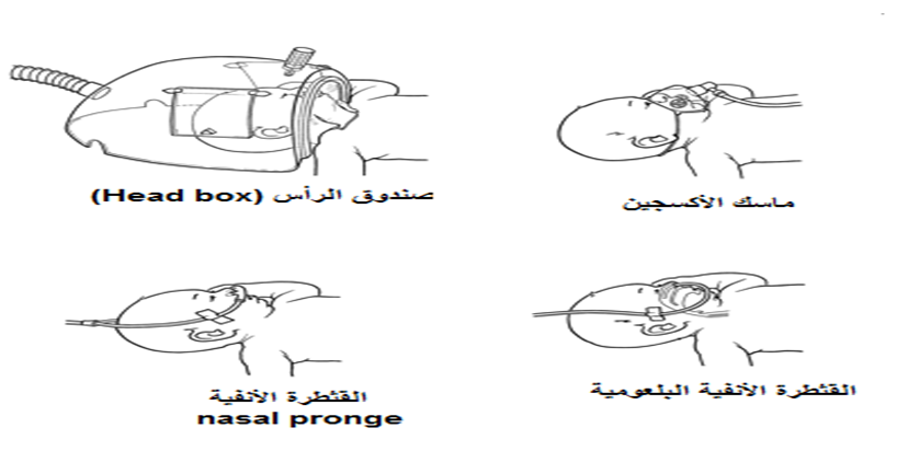 Respiratory System Disorders Care Guide | EHC | Egyptian Health Council