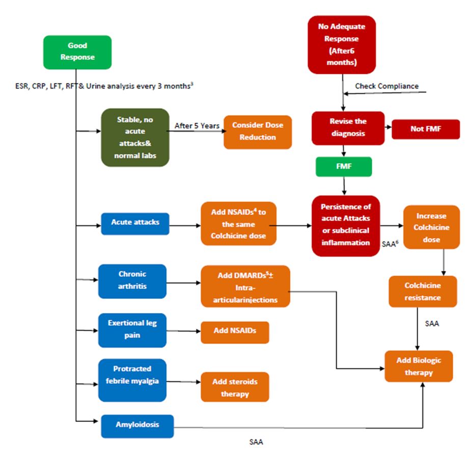 the Diagnosis and Treatment of Familial Mediterranean Fever during ...
