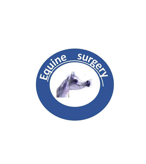 Equine Surgery Guidelines