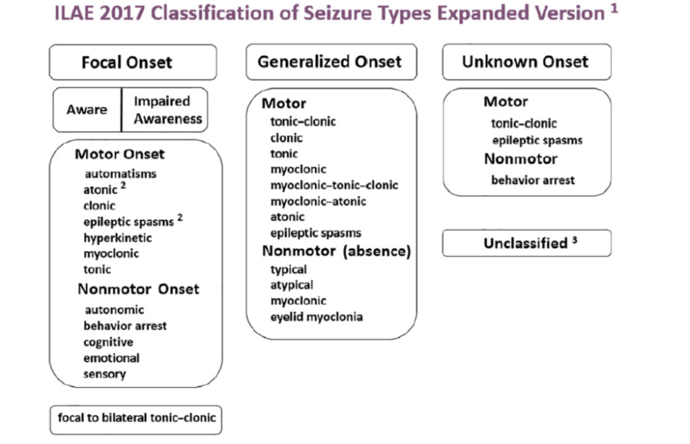 Emergency Management (Diagnosis and Treatment) of Seizures in Children ...