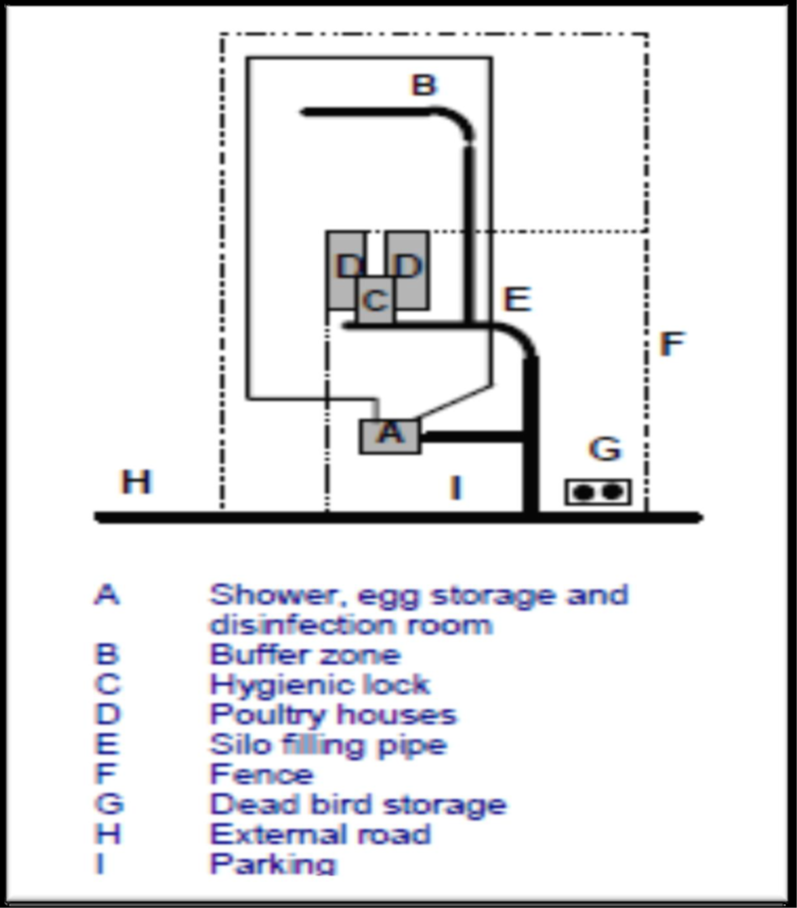 Biosecurity in Poultry Farms: 1- Isolation | EHC | Egyptian Health Council