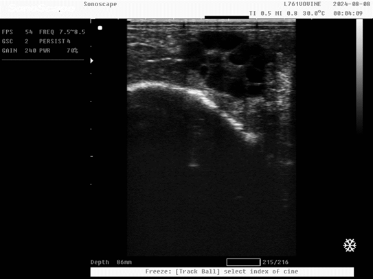 Infertility in Cattle | EHC | Egyptian Health Council