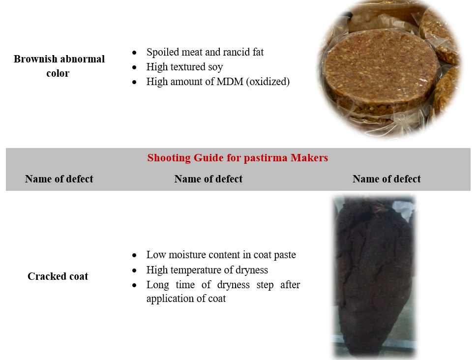 Troubleshooting of Different Meat Products: - Shooting Guide for ...