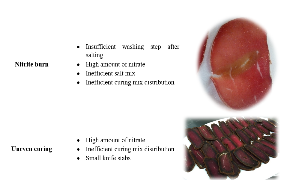 Troubleshooting of Different Meat Products: - Shooting Guide for ...