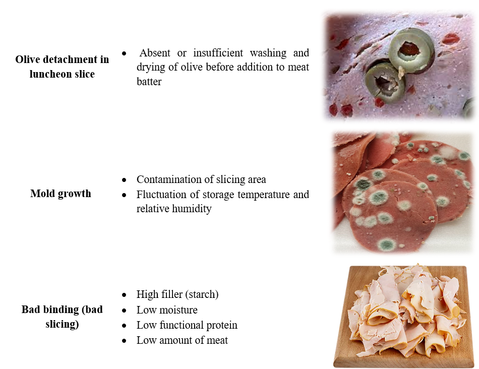 Troubleshooting of Different Meat Products: - Shooting Guide for ...